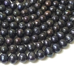 Freshwater Pearls Black Round 6 mm Freshwater Pearls Black Round 6 mm
