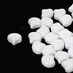 GINKO CHALK LUSTER 20 pcs. GINKO CHALK LUSTER 20 pcs.