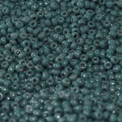 ROUND ROCAILLE 11/0  Duracoat Opaque Eucalyptus 4481 ROUND ROCAILLE 11/0  Duracoat Opaque Eucalyptus 4481