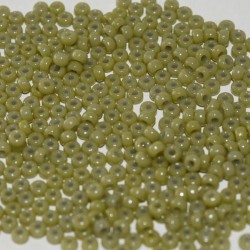 ROUND ROCAILLE 11/0  Duracoat Opaque Cactus 4474 ROUND ROCAILLE 11/0  Duracoat Opaque Cactus 4474