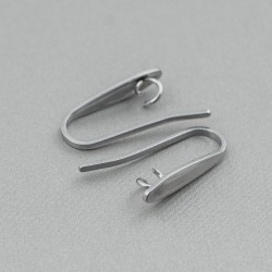 EARRING HOOKS Professional Stainless Steel EARRING HOOKS Professional Stainless Steel
