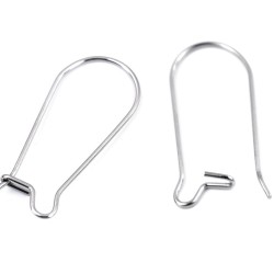 Stainless Steel Ear Wire Kidney Shape 20 mm Stainless Steel Ear Wire Kidney Shape 20 mm