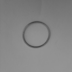 Ring 20 mm Stainless Steel 316L Ring 20 mm Stainless Steel 316L